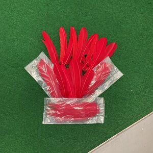 50 Bright Red Craft Feathers - Long Decorative Plumage